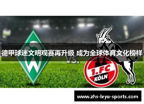 德甲球迷文明观赛再升级 成为全球体育文化榜样