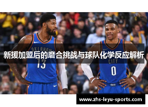 新援加盟后的磨合挑战与球队化学反应解析